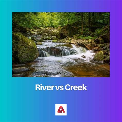 river vs creek|public creeks near me.